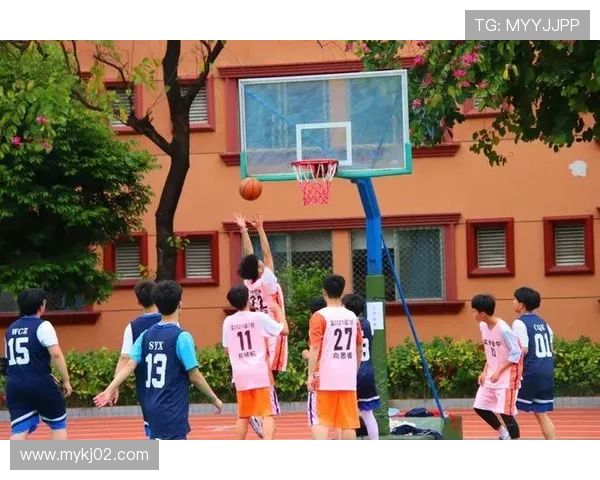 成都篮球队耐力对比分析揭示球队潜力与发展方向