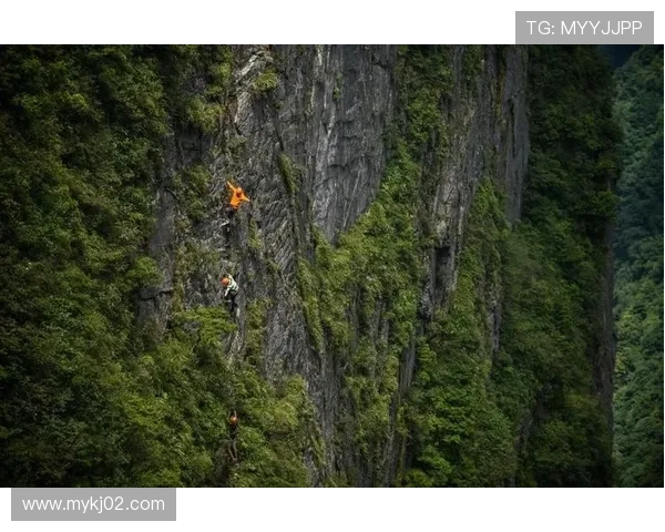 攀岩之路上的坚持与梦想：刘丽的深度对话与人生启示